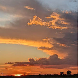 Meet your Posher, Jaelynne